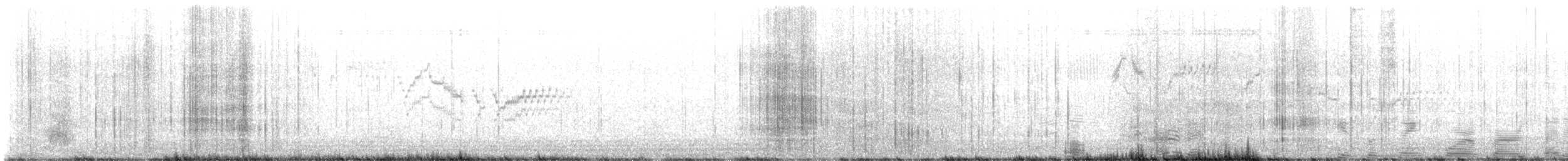 Bicknell's Thrush - ML621606830