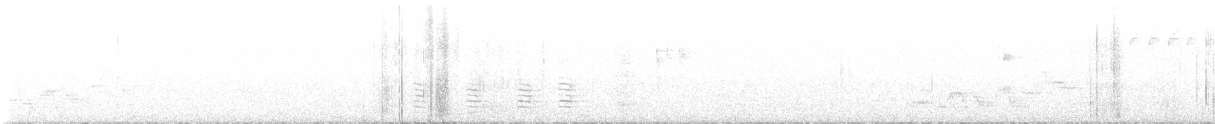 Swainson's Thrush - ML621607100