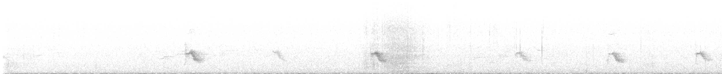 Bicknell Bülbül Ardıcı - ML621607235