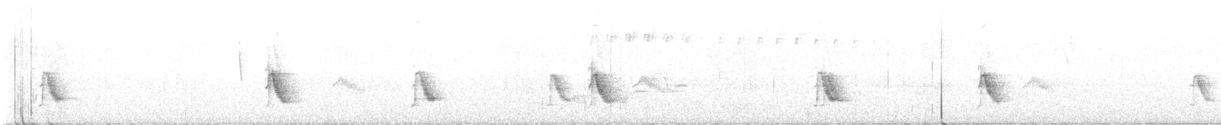 Bicknell's Thrush - ML621607279