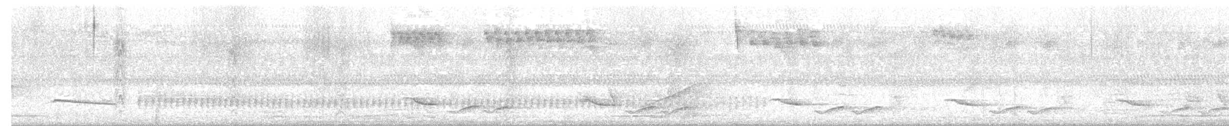 Yellow-billed Cacique - ML621610462