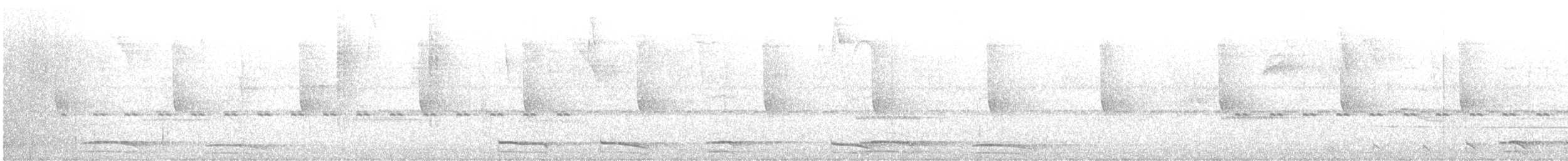 Buckley's Forest-Falcon - ML621613995