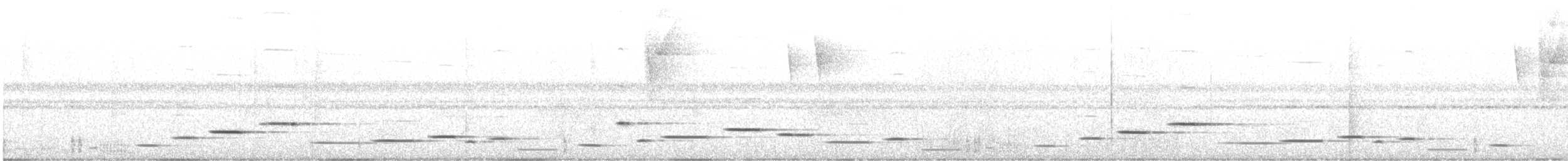 Musician Wren (Gray-eared) - ML621614157