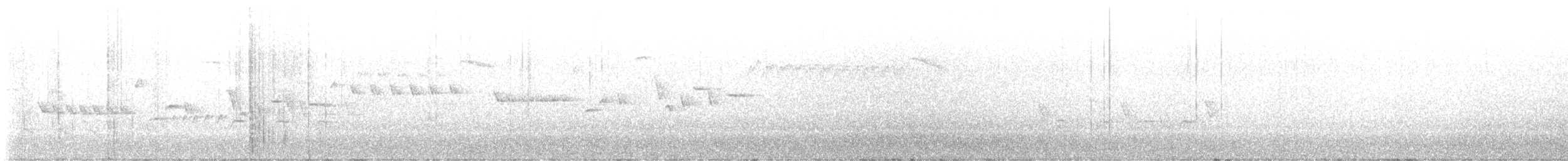 フユミソサザイ - ML621615109