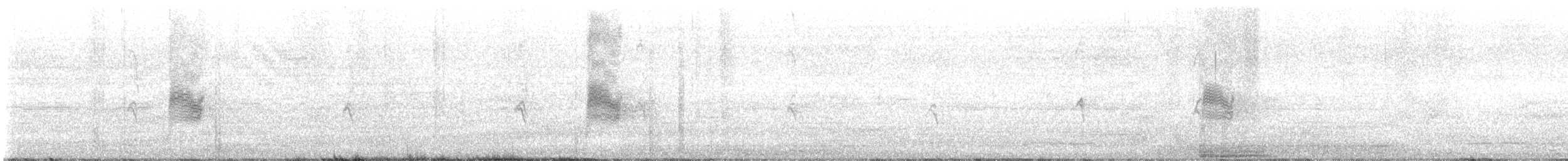 nordnatthauk - ML621617186