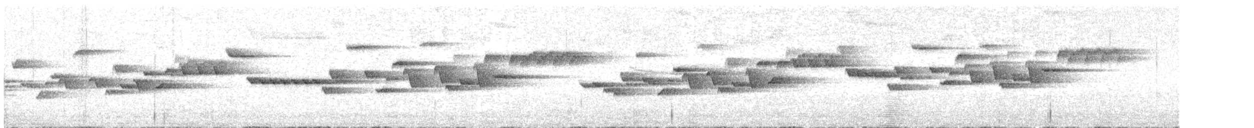 フユミソサザイ - ML621619419