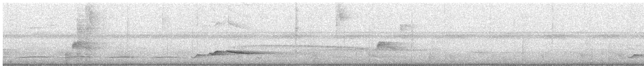 Blackish Pewee - ML621619465
