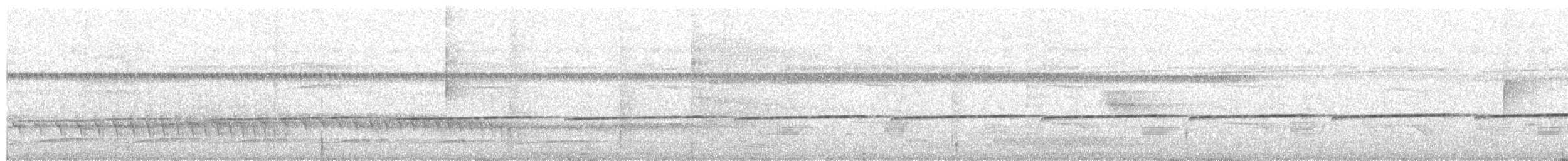 Grisin sanglé - ML621619571