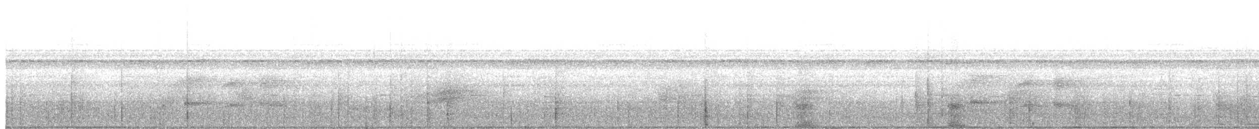 Variegated Antpitta - ML621619639