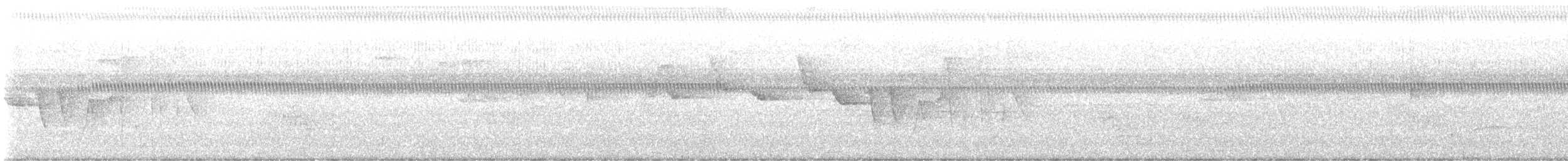strømparula - ML621621805
