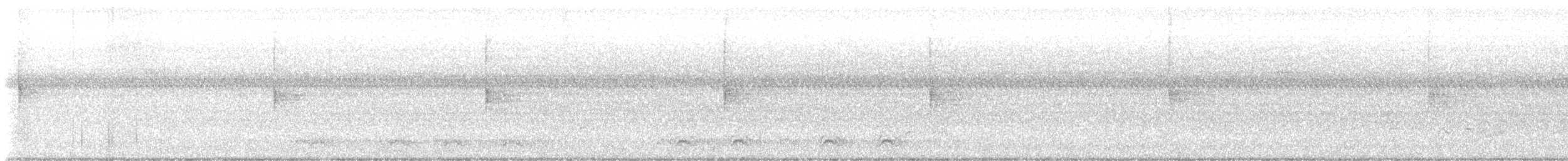 strømparula - ML621621806
