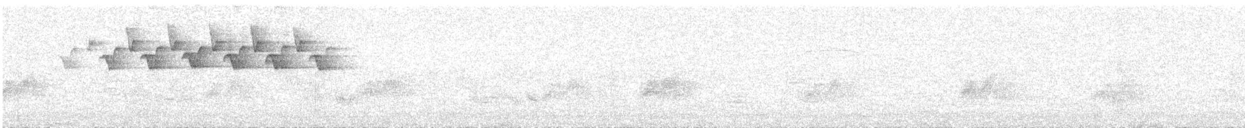 シロクロアメリカムシクイ - ML621621881