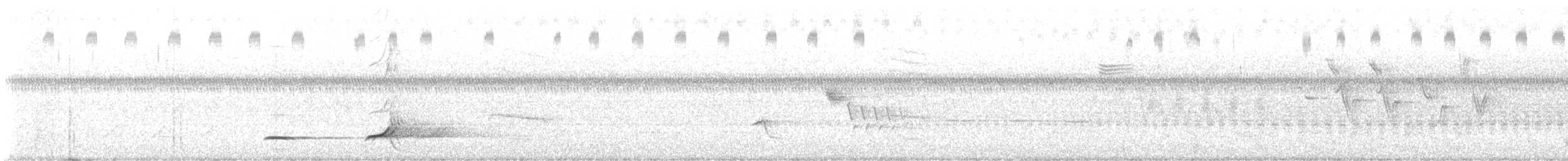 Colin de Virginie - ML621621999