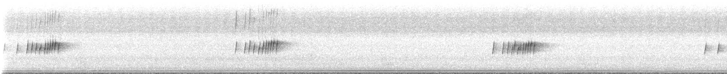 Gray Kingbird - ML621624658
