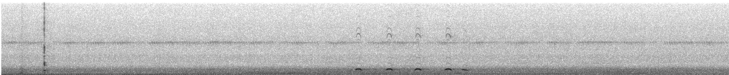 Western Screech-Owl - ML621625738