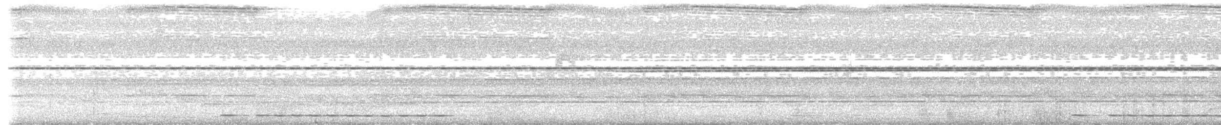 Gray-hooded Babbler - ML621632429