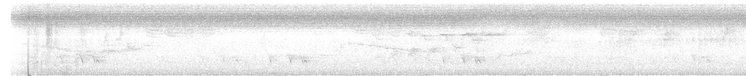 Pied Shrike-Babbler - ML621633621
