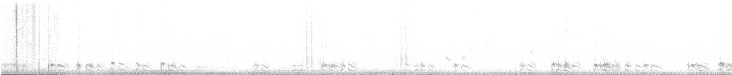 stepokur saharský - ML621638286