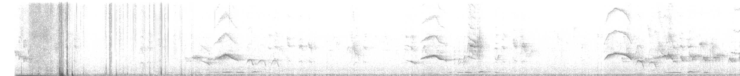 Black Scrub-Robin - ML621638306