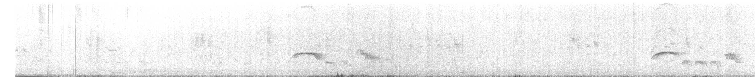 Black Scrub-Robin - ML621638315