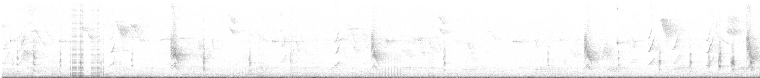 perlička kropenatá (domestikovaná) - ML621640067