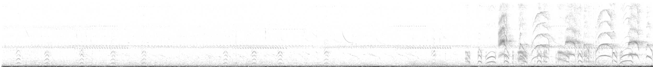 svartkronestylteløper (melanurus) (hvitkronestylteløper) - ML621640427