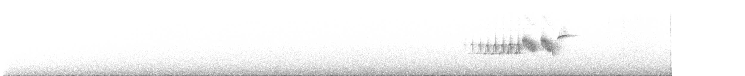 Black-throated Gray Warbler - ML621642852