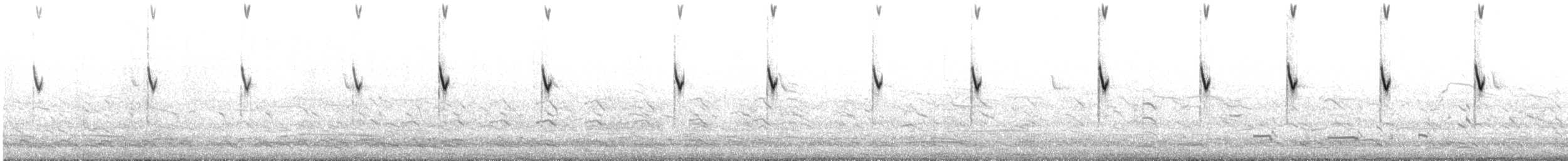 Rock Pipit - ML621643773