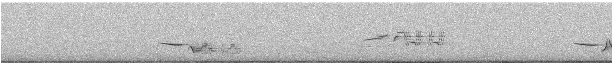 Münzevi Bülbül Ardıcı - ML621645269