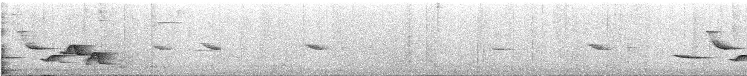 Spot-breasted Wren - ML621647273