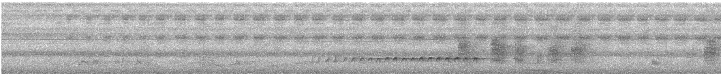 Téphrodorne bridé - ML621649038