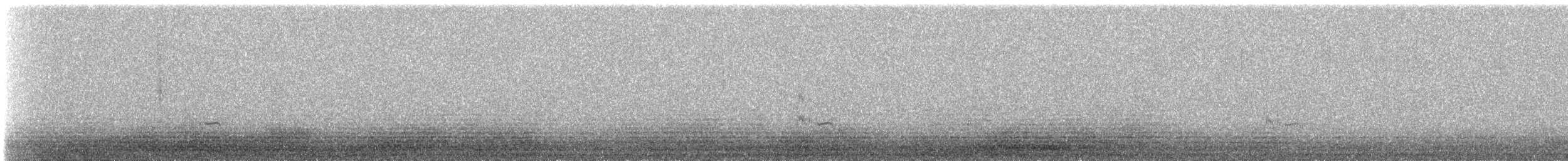 Крячок рябодзьобий (підвид sandvicensis) - ML621650322