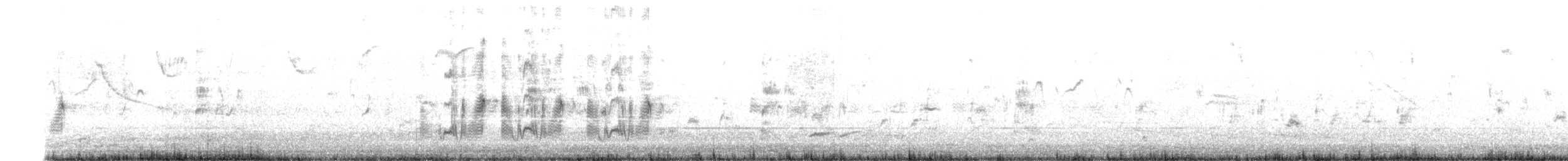 Double-banded Plover - ML621650699