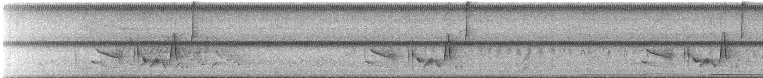 Weißaugenvireo - ML621655199