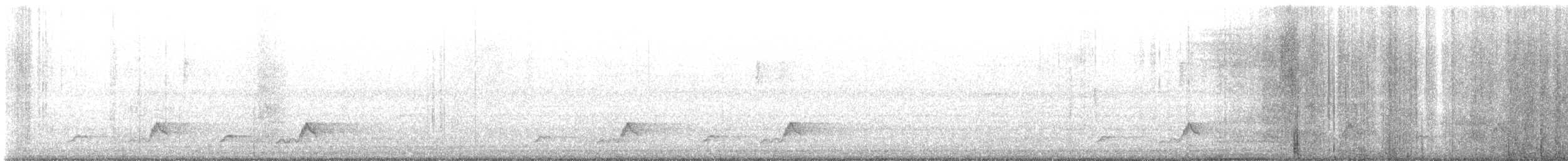 Schwarzkehl-Nachtschwalbe - ML621656421