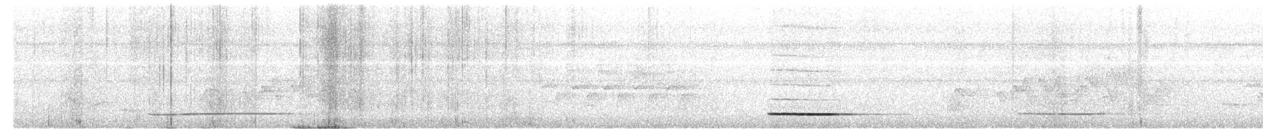 Thicket Tinamou - ML621657929