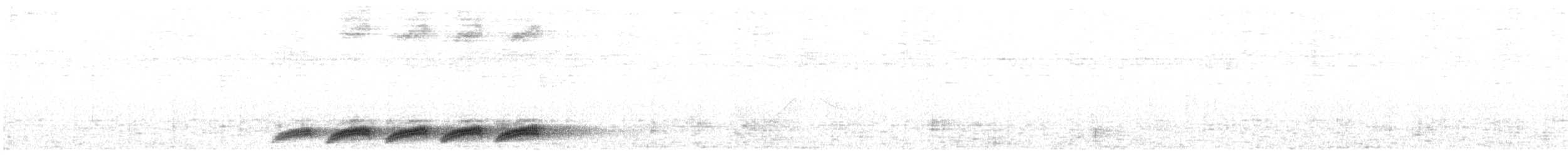 Paradoxornis fléché - ML621669053