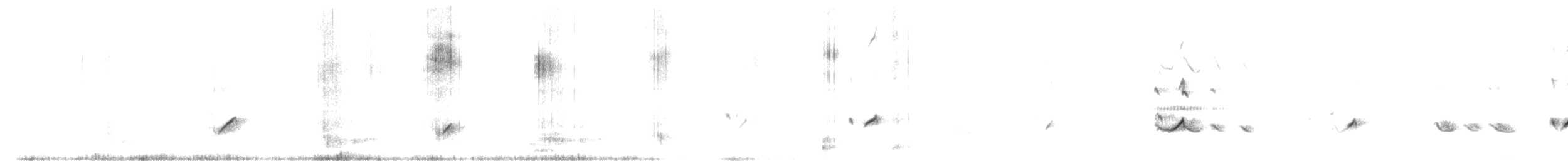 Archibebe Oscuro - ML621670364