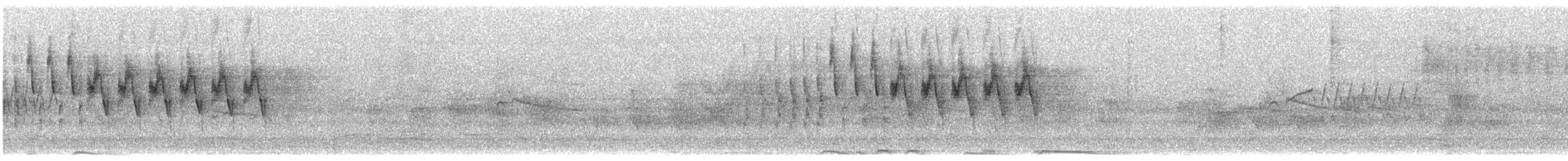 brunkroneparula (rufifrons gr.) - ML621671141