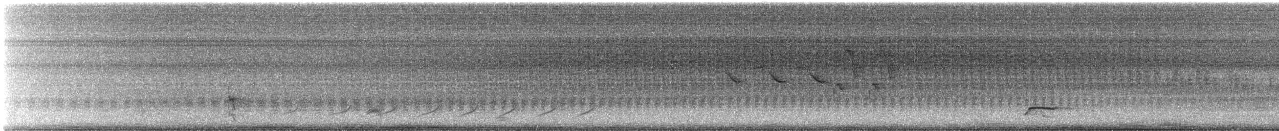 Yellow-breasted Chat - ML621674378