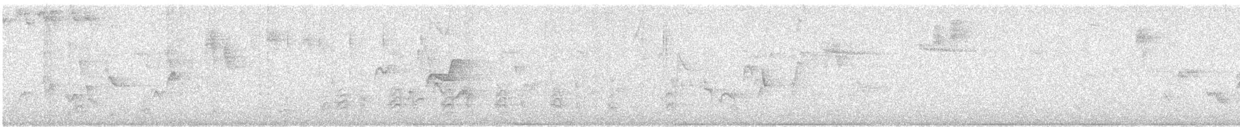 Warbling Vireo - ML621675737