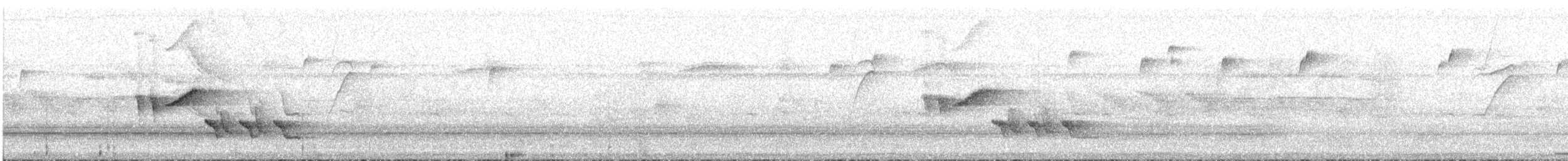 Troglodyte à poitrine blanche - ML621676001