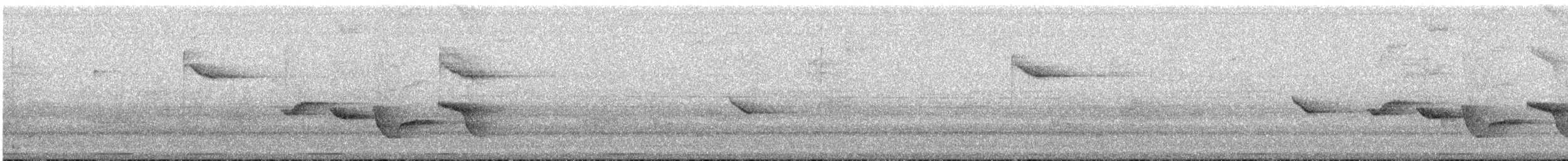 ハシナガミソサザイ - ML621676048