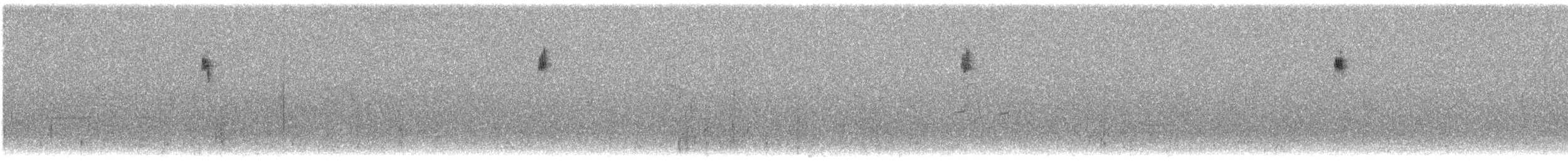 gulparula - ML621677159