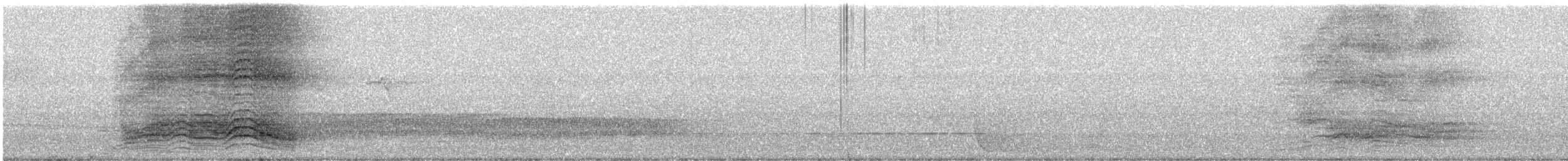 Spotted Catbird - ML621686499