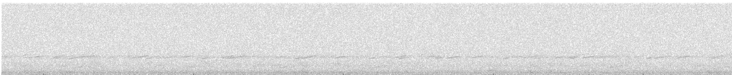 Schwarzkehl-Nachtschwalbe - ML621693823