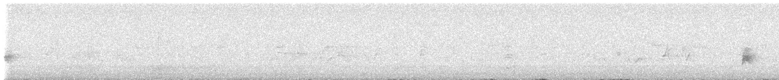 Дрізд-короткодзьоб Cвенсона - ML621697658