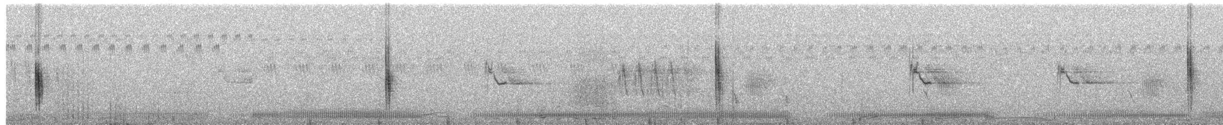 Tarabilla Africana (grupo torquatus) - ML621700403