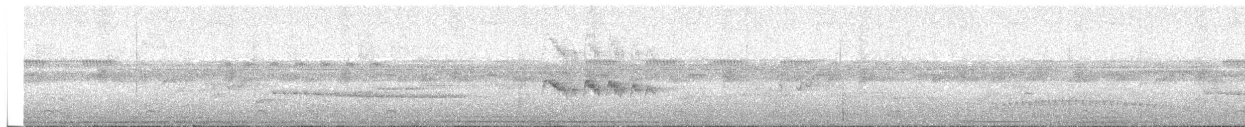 Graubrust-Schnäppertyrann - ML62170301
