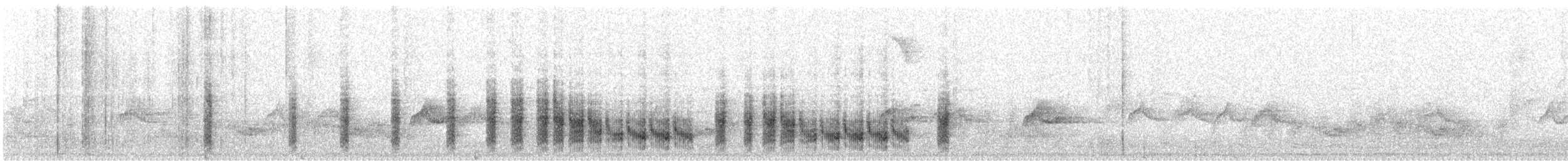 ムナグロセワタビタキ（capensis） - ML621706730